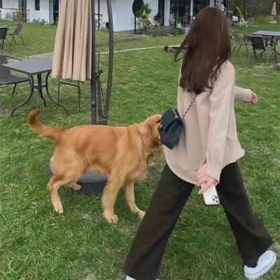 我不卖身我卖子宫