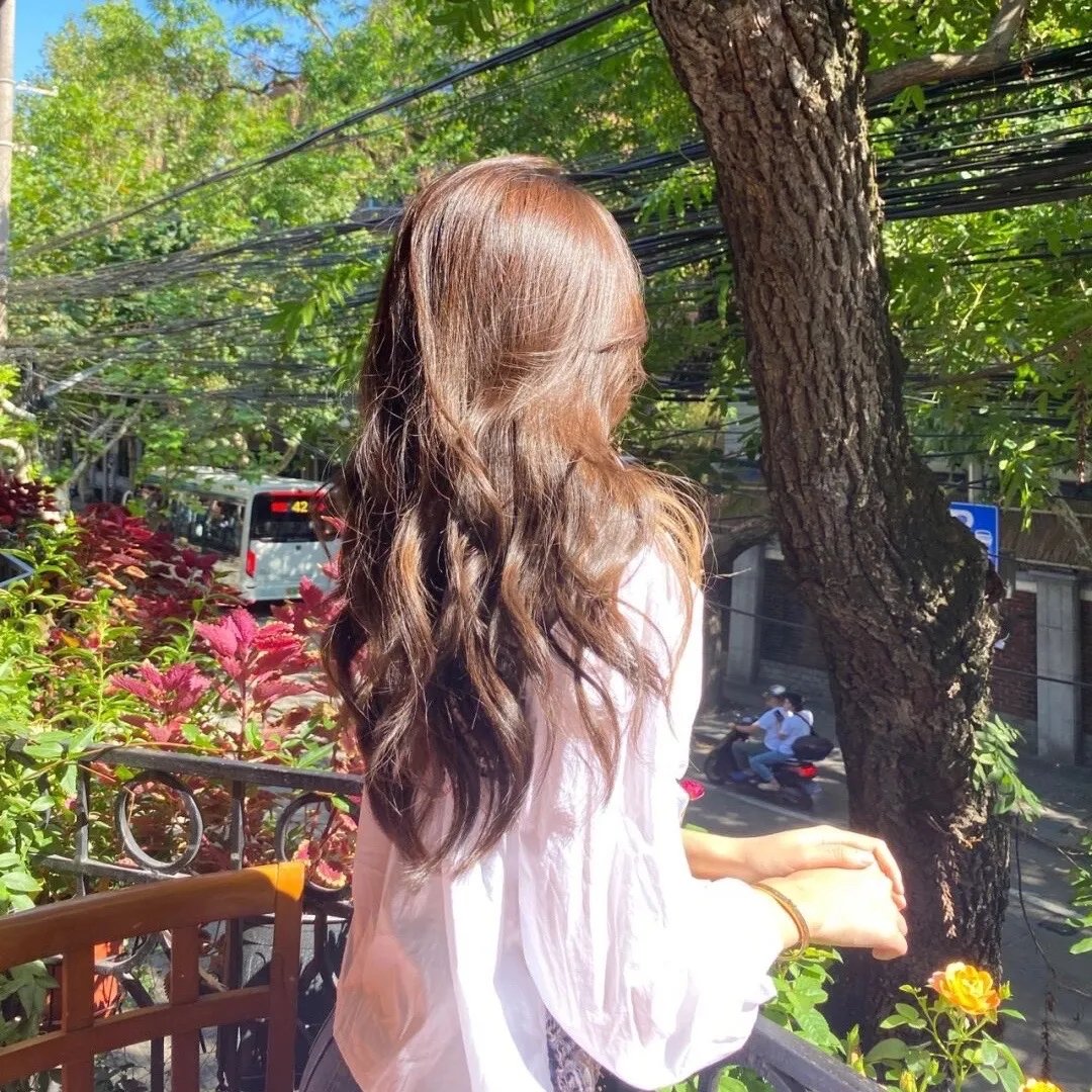 铁线蕨青