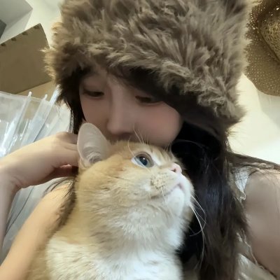 红犬历险记